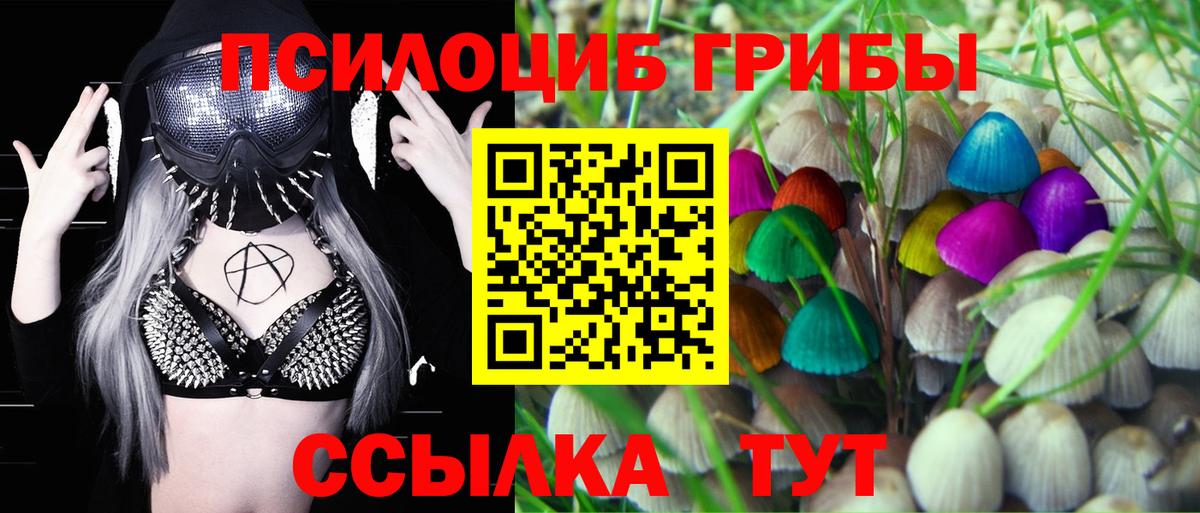 Галлюциногенные грибы Psilocybe  как найти   Котовск  Галлюциногенные грибы прущие грибы  Вход с VPN 