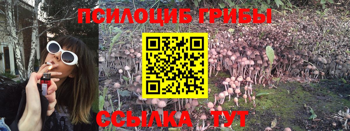 Галлюциногенные грибы мицелий Котовск