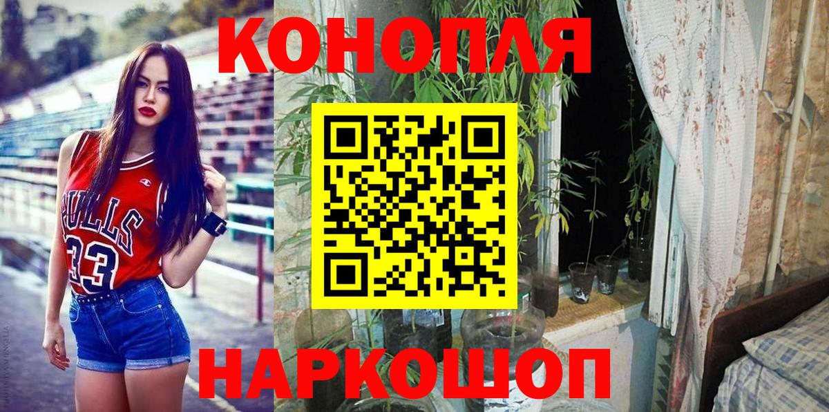 Канабис OG Kush Котовск